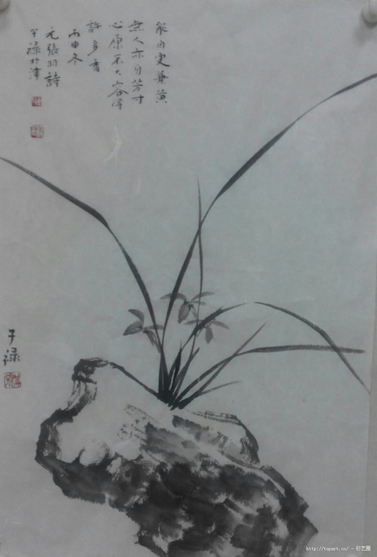 兰,苏三淇 2016年纸张国画 衍艺圈 topart.