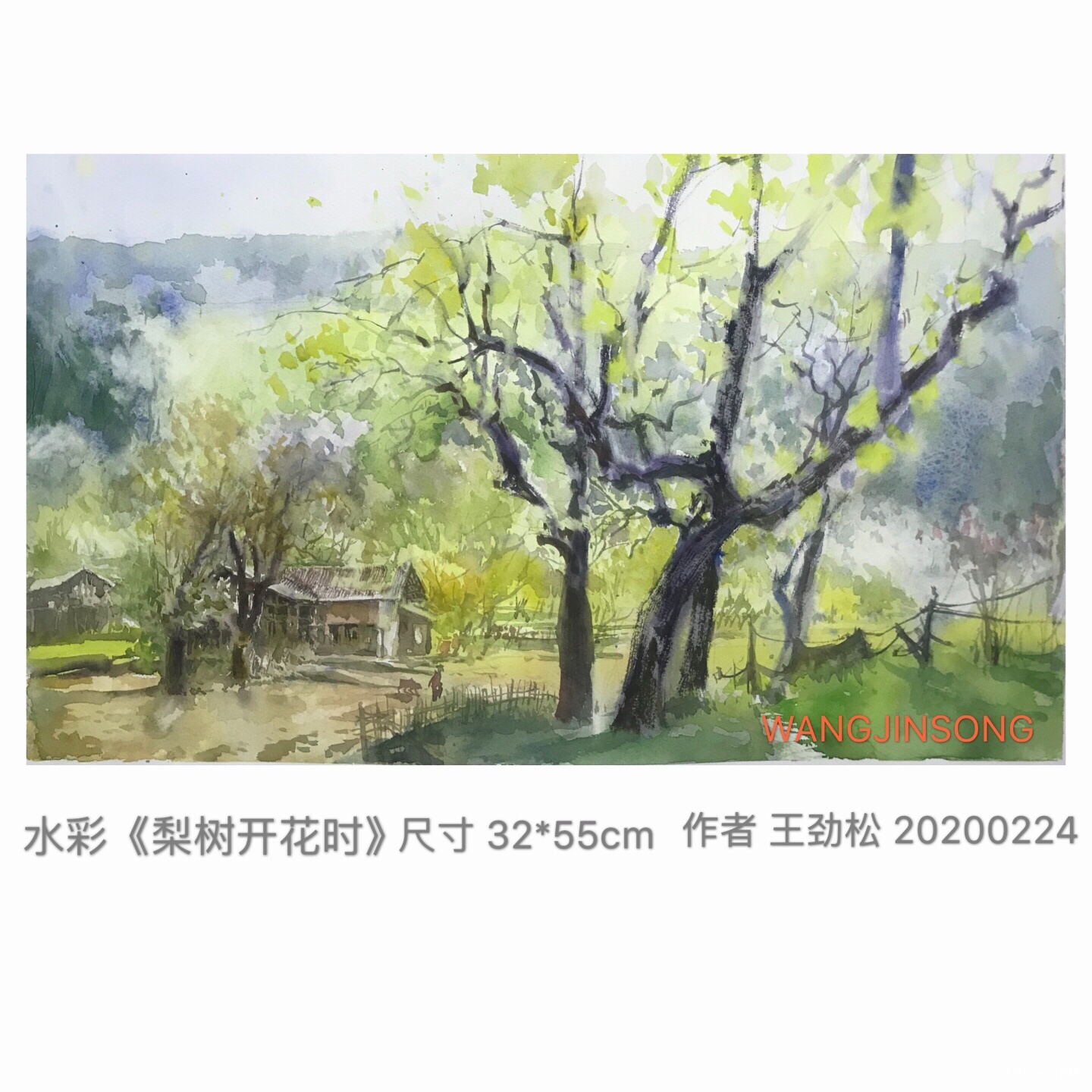 梨树开花时,王劲松, 2020年纸张水彩.粉画 | 衍艺圈 - topart.