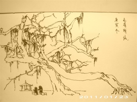 老有所依