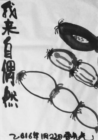我来自偶然