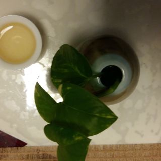 刘宝华,刘宝华的个人主页
