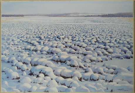 《呼伦贝尔原野湿地-冬》