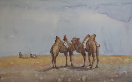 《骆驼系列1》