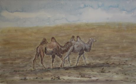 《骆驼系列2》