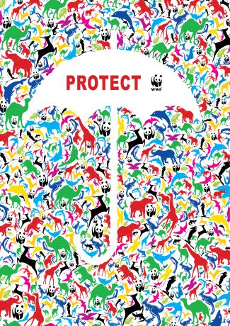 易碎系列-protect篇