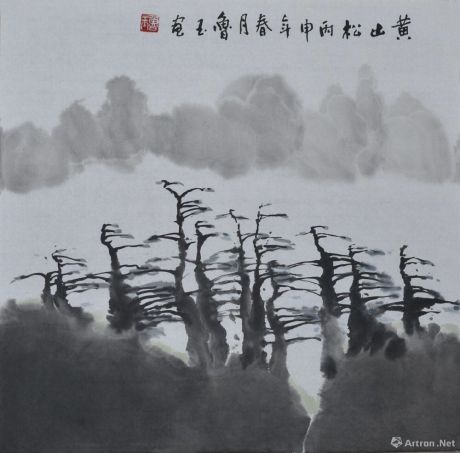 黄山松