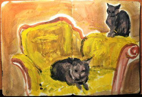 沙发和猫