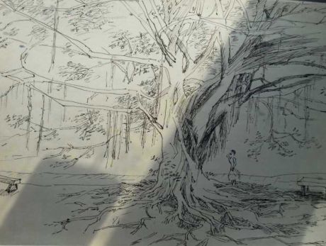 海囗人民公园的大榕树