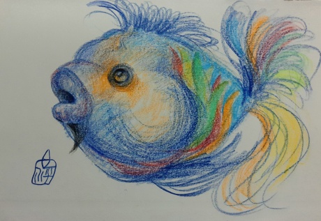 彩色的鱼