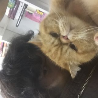 梁敬达,梁敬达的个人主页