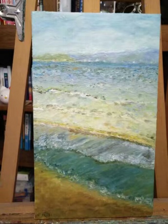 海