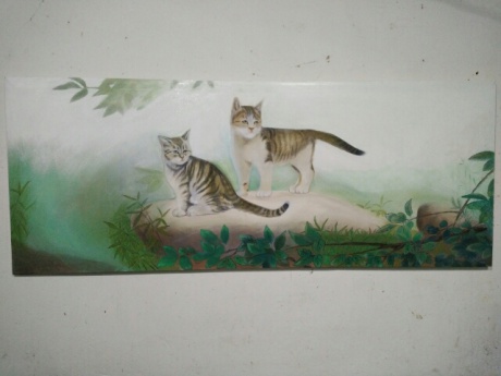 聚光灯下的偷情猫