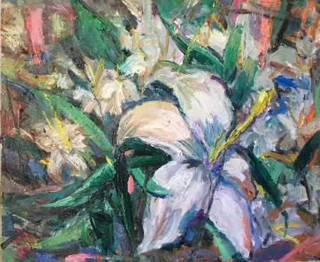 白合花开
