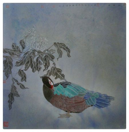 怡红快绿