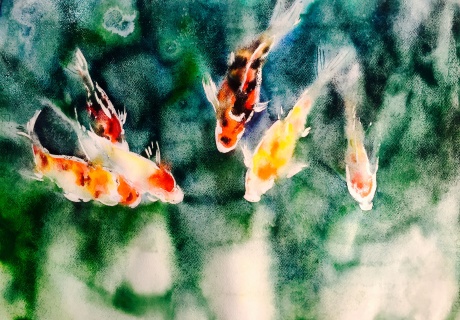 锦上添花