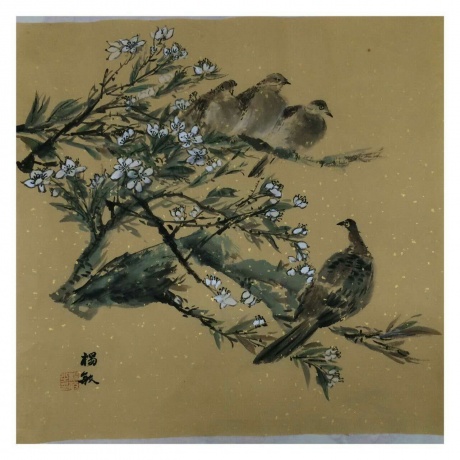 鸟语花香系列