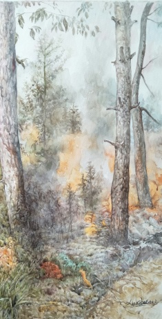 《燃烧的森林》
