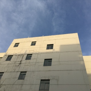 淹si的鲸,淹si的鲸的个人主页