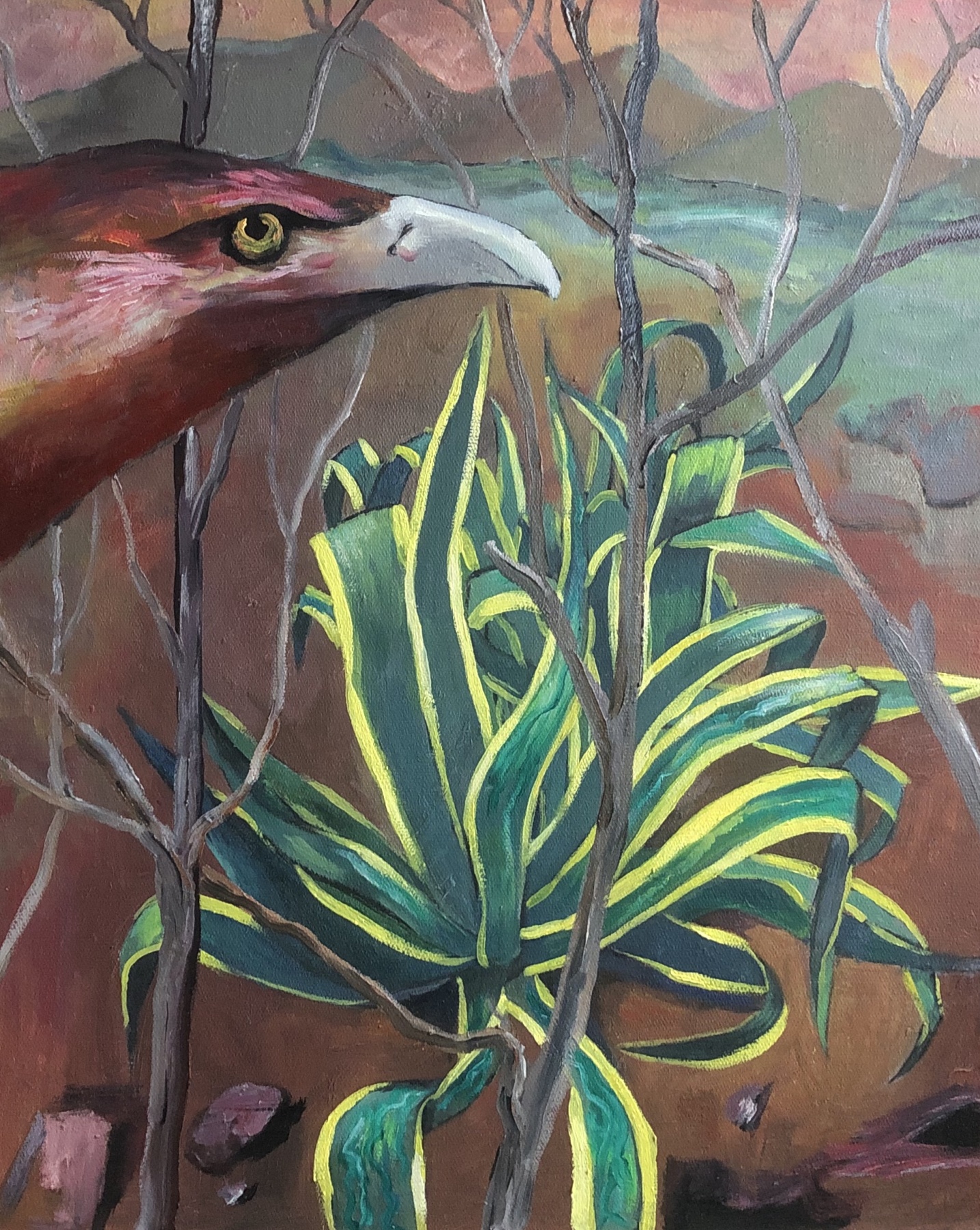 《鹰与自然系列 014》50×40 