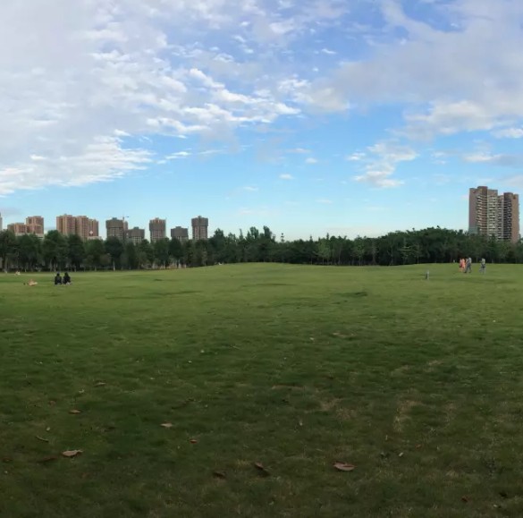 煎小鱼儿
