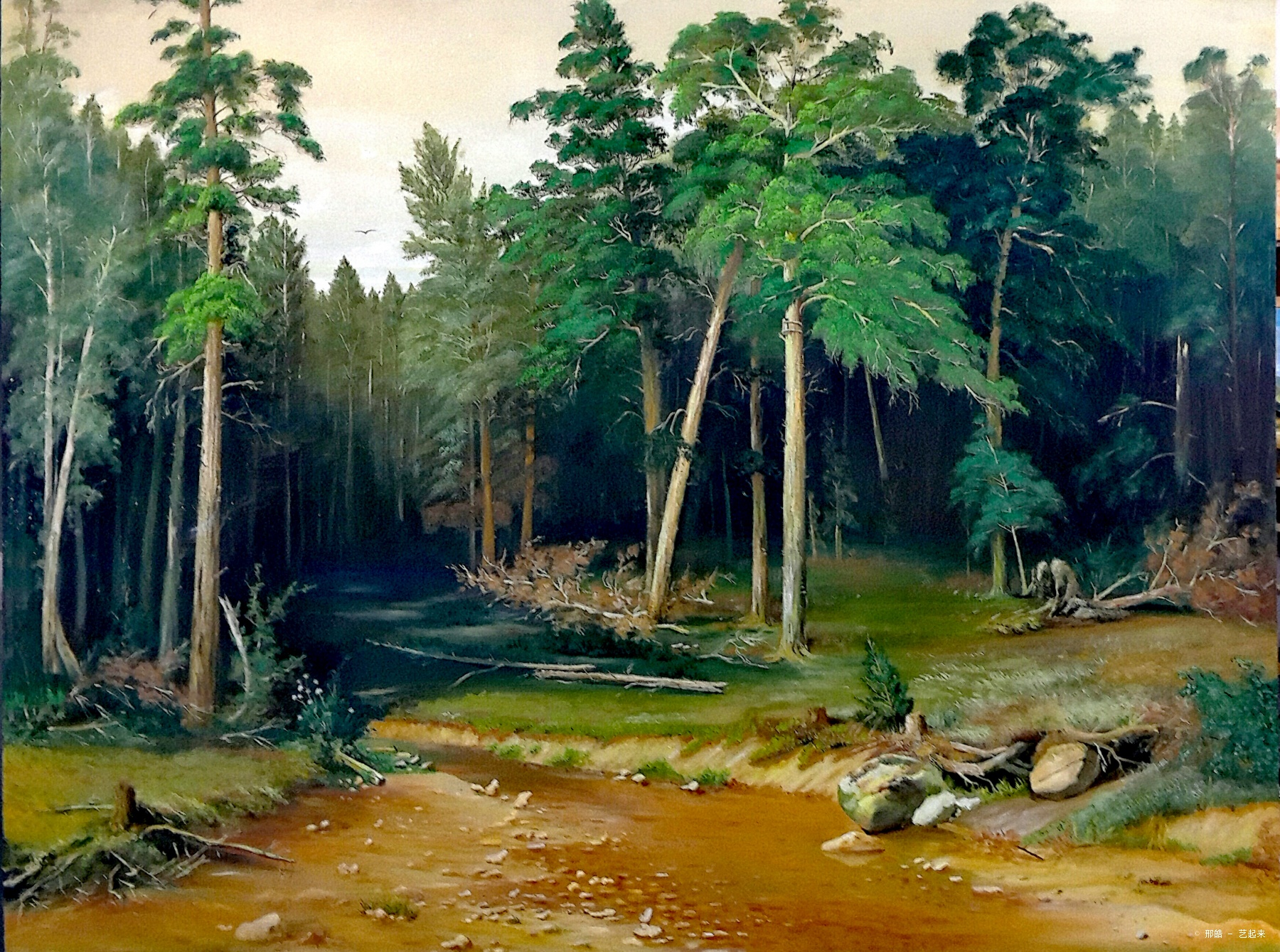 松树林油画作品图片