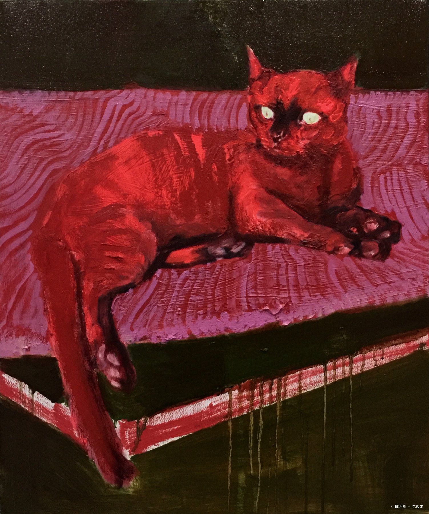 猫,陈明华, 2016年布面油画 