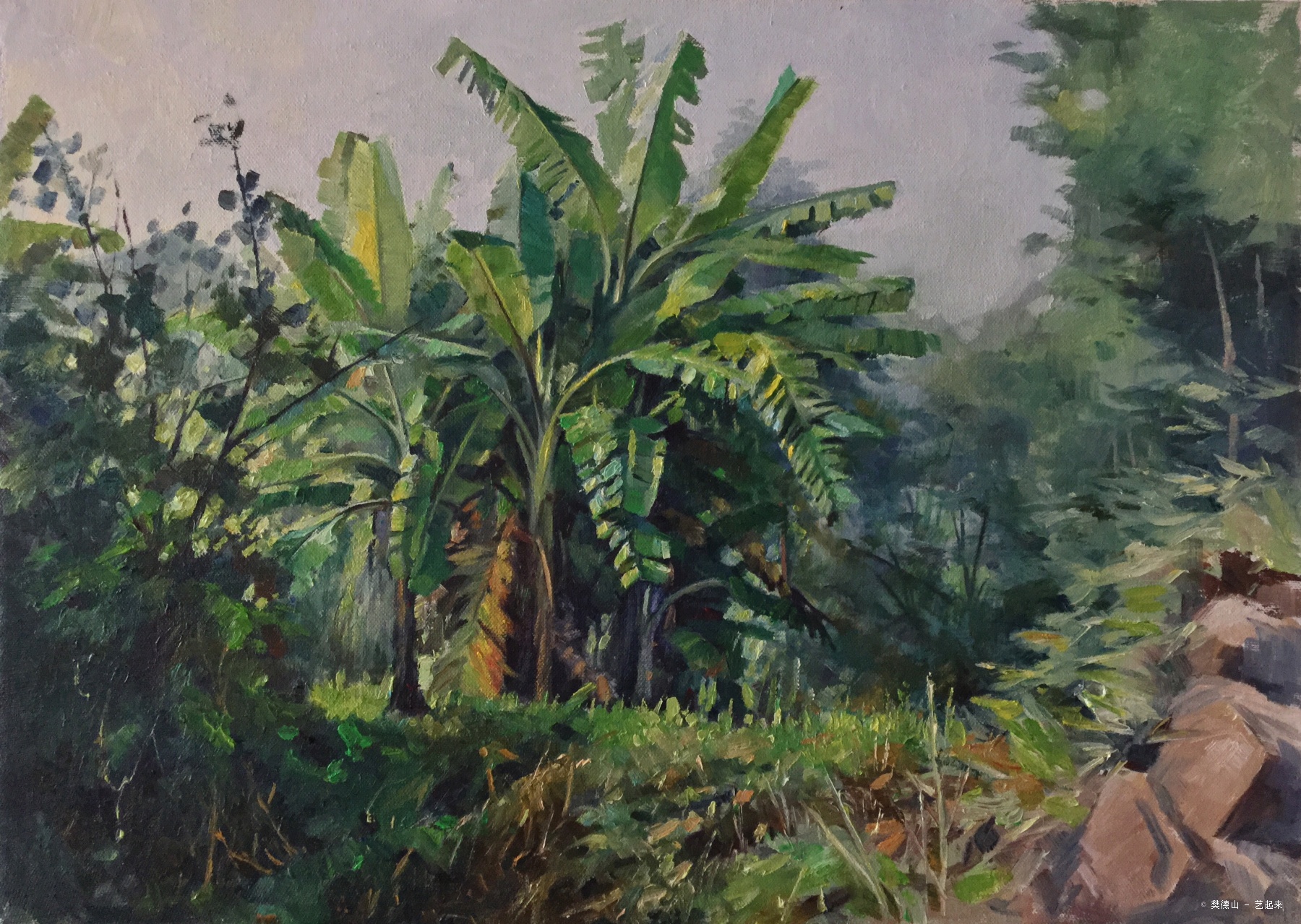 香蕉树,樊德山, 2015年布面油画 