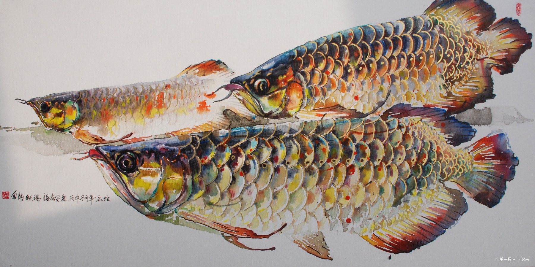 金龙鱼系列2,单一磊, 2016年布面油画 