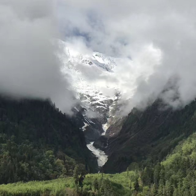 林海雪原