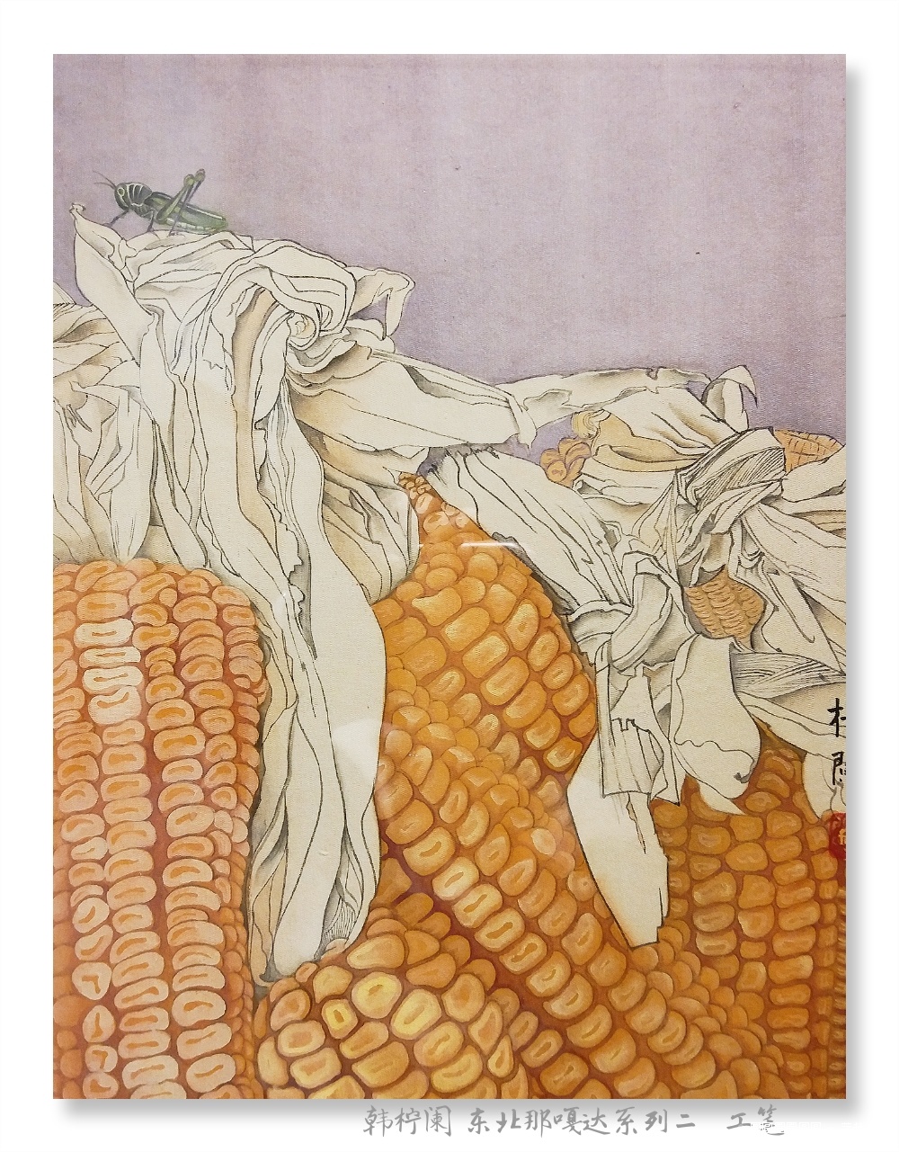 工笔玉米画法图片